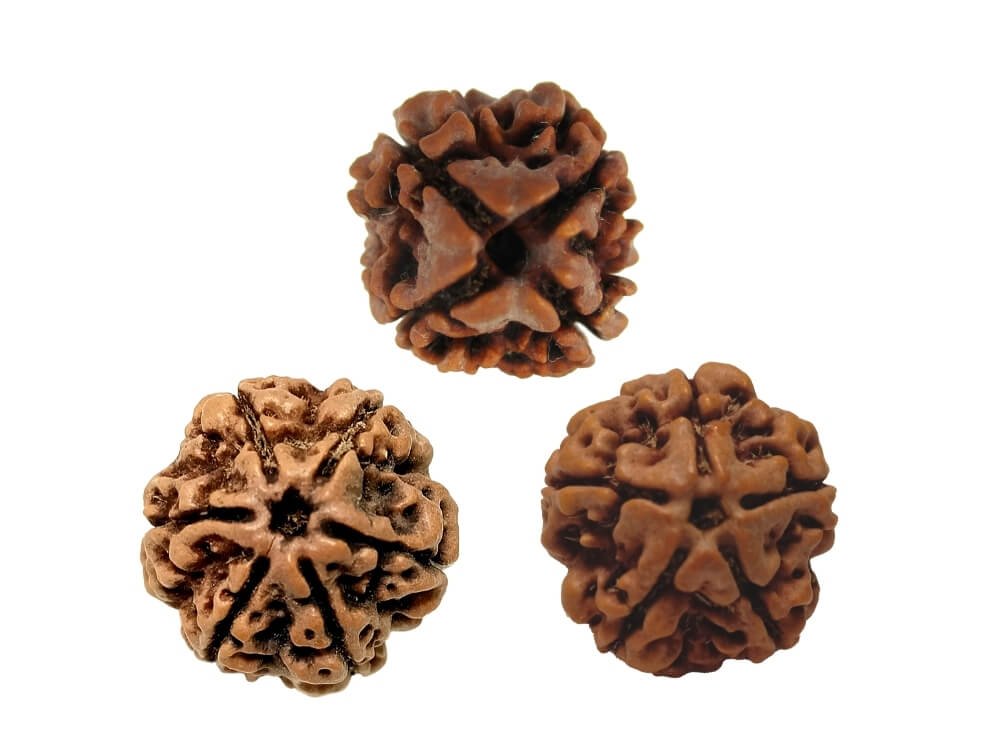 Kashi Vidyarthi Combination (4 & 6 Mukhi)